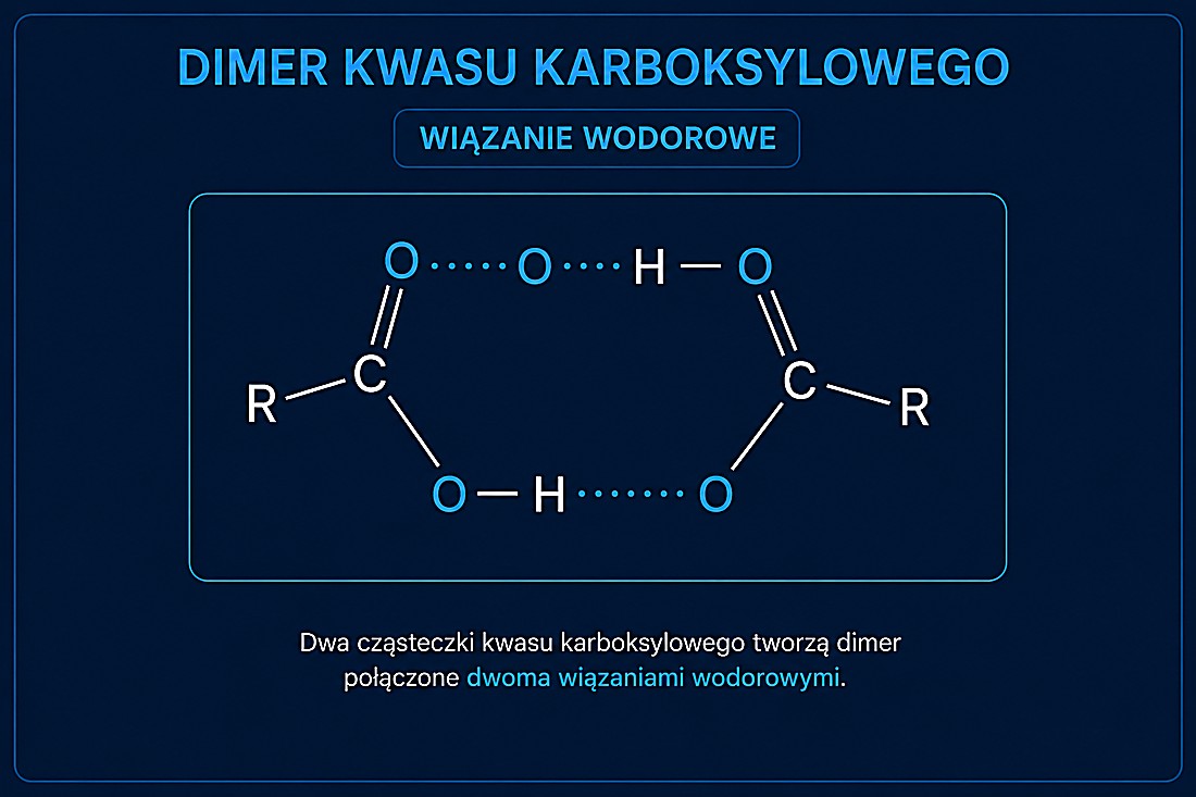 Dwie cząsteczki kwasu karboksylowego tworzą dimer połączony dwoma wiązaniami wodorowymi