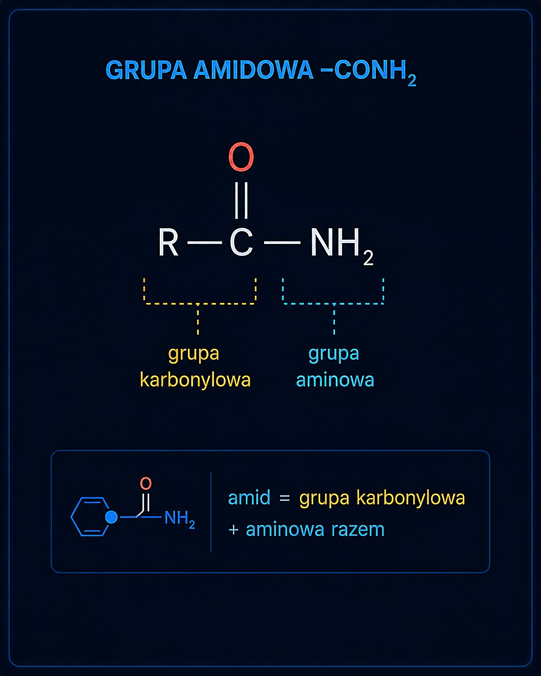 Grupa amidowa –CONH₂ — połączenie grupy karbonylowej i aminowej