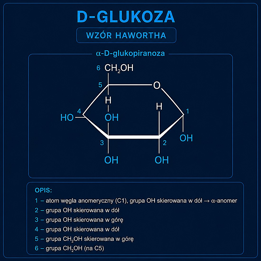 D-glukoza — wzór Haworetha (α-D-glukopiranoza): C1 to atom anomeryczny
